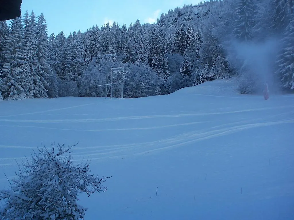 Hotel Les Bernards Praz-sur-Arly